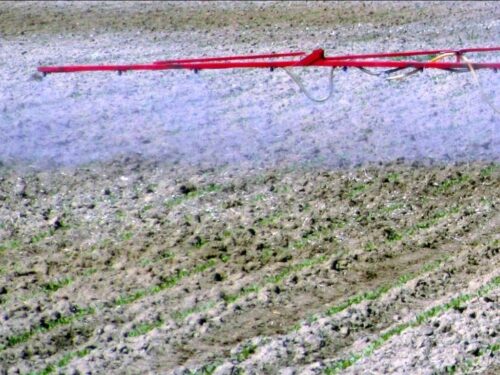 ceny środków ochrony roślin, CDR w Brwinowie, uprawy rolnicze, sadownictwo