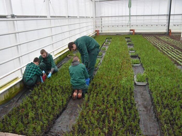 Zespół Szkół w Opatówku, nauka zawodu w szklarni, Zespół Szkół w Piotrkowicach Małych