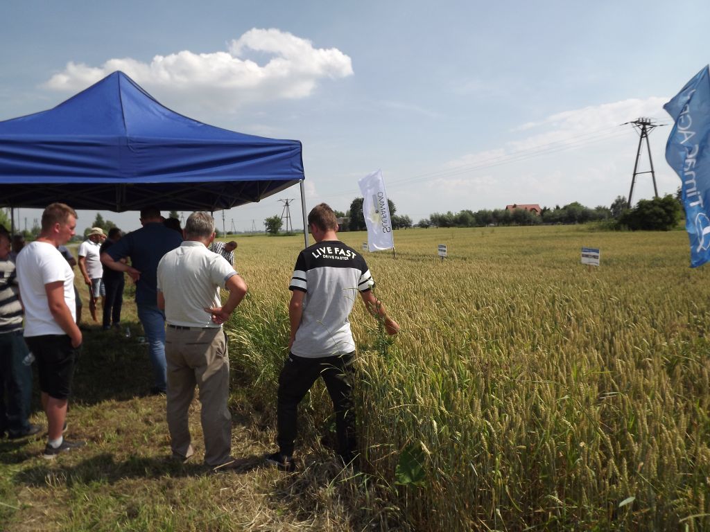 Timac Agro, Grupa Roullier, biostymulatory DNA, Agata Stolarska