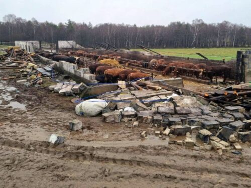 wichury nad Polską, Kramarzyny, powiat bytowski, Łukasz Płusa