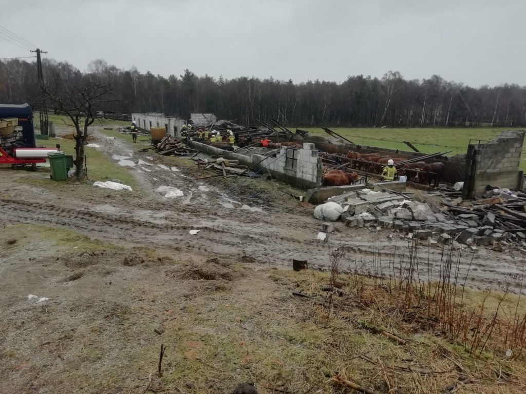 wichury nad Polską, Kramarzyny, powiat bytowski, Łukasz Płusa