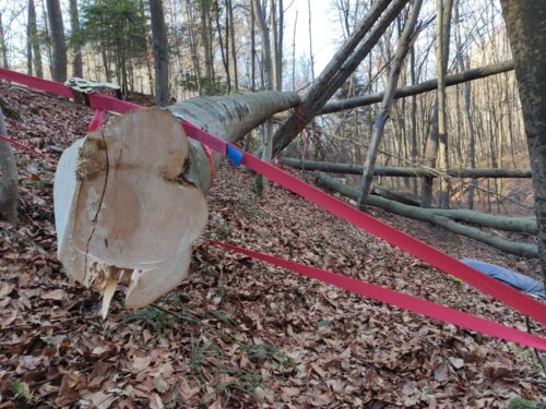 wycinka drzew, Bukowa, powiat dębick, śmigłowiec LPR