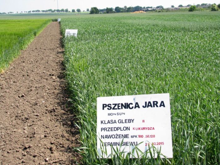 nawożenie, NIK, raport, gleba, uprawa, badanie gleby