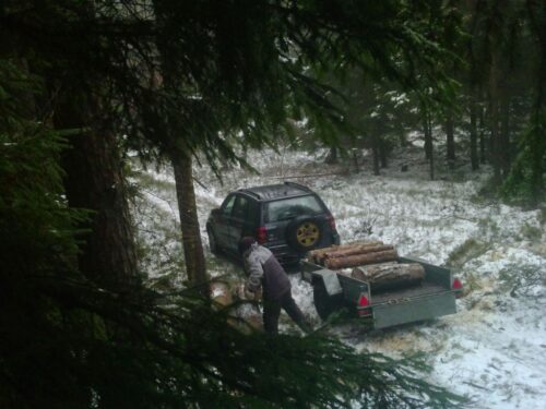 kradzież drewna, Leśnictwo Majdany, Nadleśnictwo Lidzbark, Adam Pietrzak, gmina Bliżyn