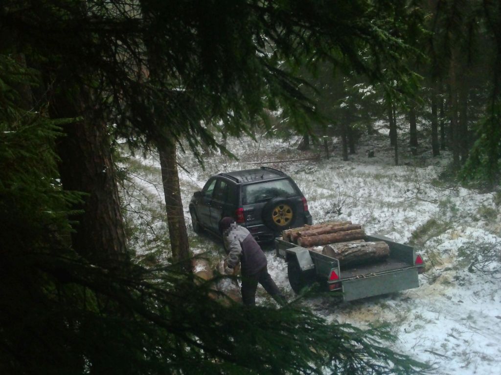 kradzież drewna, Leśnictwo Majdany, Nadleśnictwo Lidzbark, Adam Pietrzak, gmina Bliżyn