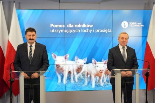 pomoc dla producentów świń, lochy, prosięta, Henryk Kowalczyk, Ryszard Bartosik