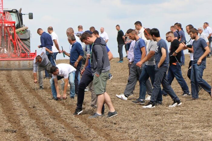 płatności bezpośrednie, płatności obszarowe, wsparcie dla rolnictwa, ARiMR