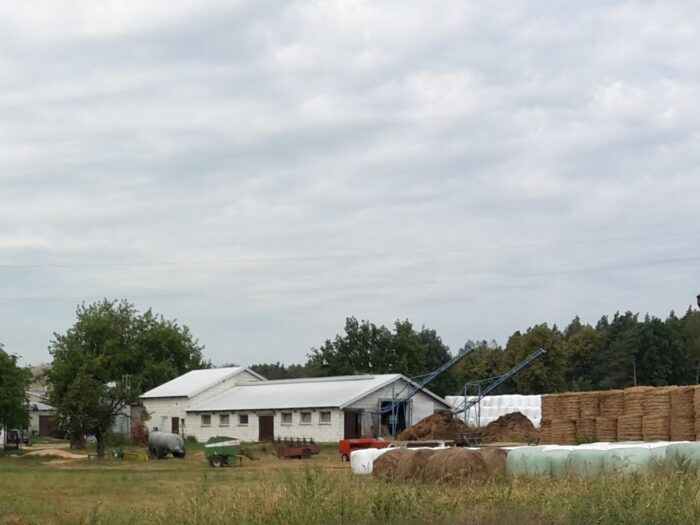 przekazywanie następcom gospodarstw rolnych, RPO, Sad Najwyższy