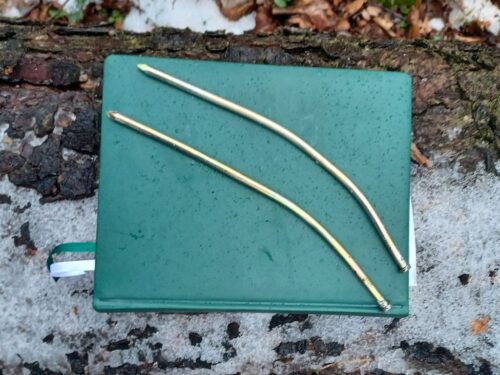 Nadleśnictwo Chojnów, Lasy Państwowe, Maciej Pawłowski, wandale w lesie, handel drewnem