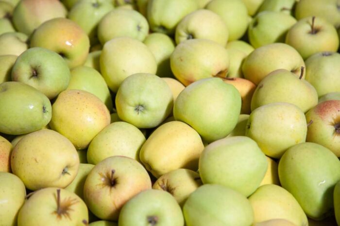 rynek owoców i warzyw, uprawa chmielu, Rada Ministrów, programy operacyjne