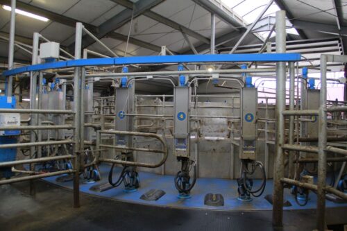 Dairymaster, dżwi otwarte, prezentacja karuzelowej hali udojowej, dój krów mlecznych, szybki dój. wydajna hala