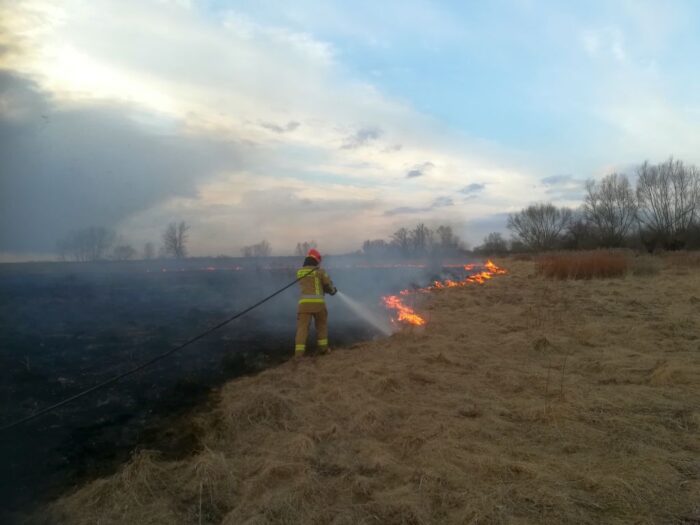 pożar łąk, gmina Chełmek, Gorzów, podpalenie traw