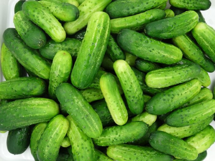 ogórek "Gaja F1", Instytut Ogrodnictwa-PIB, Hodowla Roślin Warzywnych