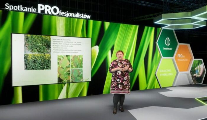 osadkowski, zielin, pomorze zachodnie, zielona pola lato