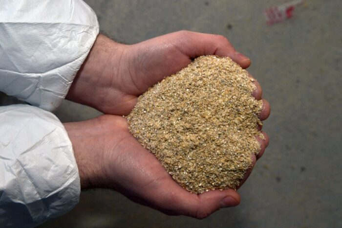 pasze lecznicze, profilaktyczne użycie antybiotyków, odporność na patogeny