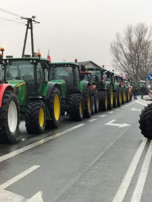 Unia Europejska, Nowy Zielony Ład, bioróżnorodność, rolnictwo, rolnicy, protest rolników, Instytut Gospodarki Rolnej