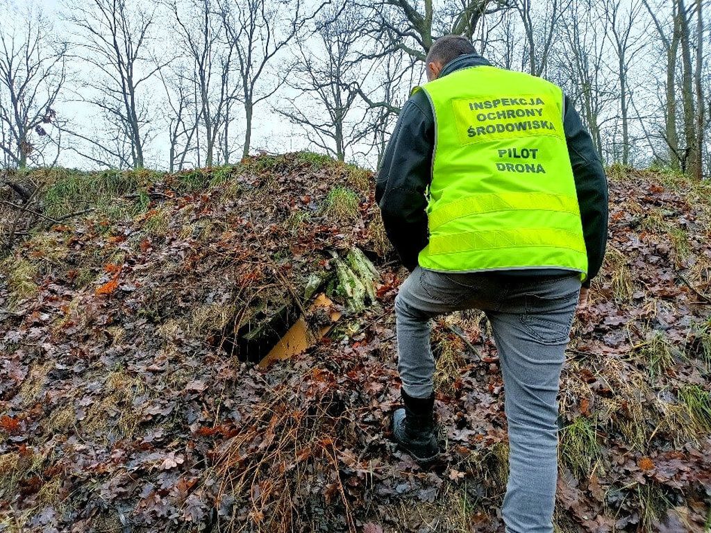 składowisko odpadów w lesie, WIOŚ Wrocław, Kłopotów, Nadleśnictwo Lubin