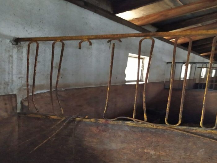 Koń zakleszczony w stajni, gmina Lubasz, KP PSP Czarnków