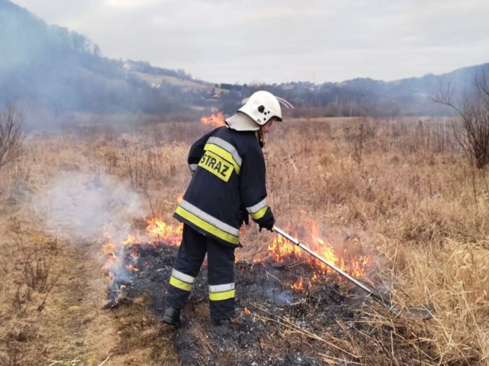 pożary traw, wypalanie traw, KM PSP w Nowym Sączu, Piwniczna, Sucha Struga