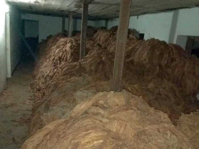 Arysta LifeScience, choroby, białko, grzyby, Alternaria tenuissima, Atailing, warzywa, tytoń