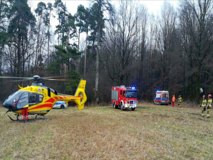 wycinka drzew w lesie, Dziewkowice,  Piotr Zdziechowski, KP PSP Strzelce Opolskie