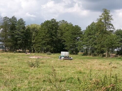 nawożenie, NIK, raport, gleba, uprawa, badanie gleby