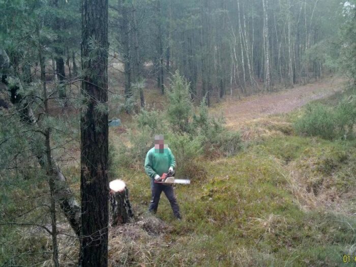 kradzież drewna w lasach, Nadleśnictwo Drewnic, Nadleśnictwo Jarosław, Maciej Pawłowski