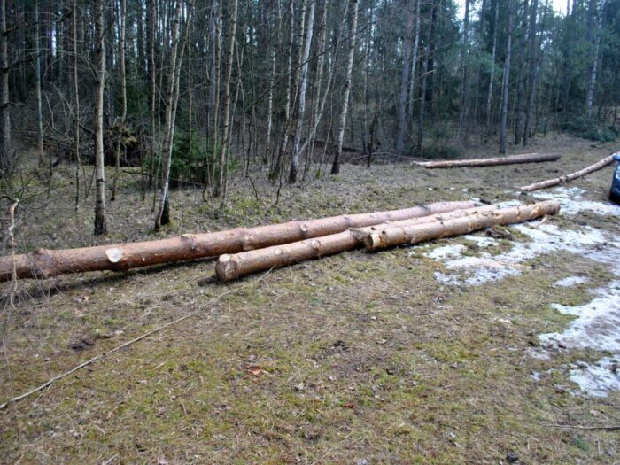 kradzież drewna, gmina Krasnopol, powiat sejneński, KPP Sejny
