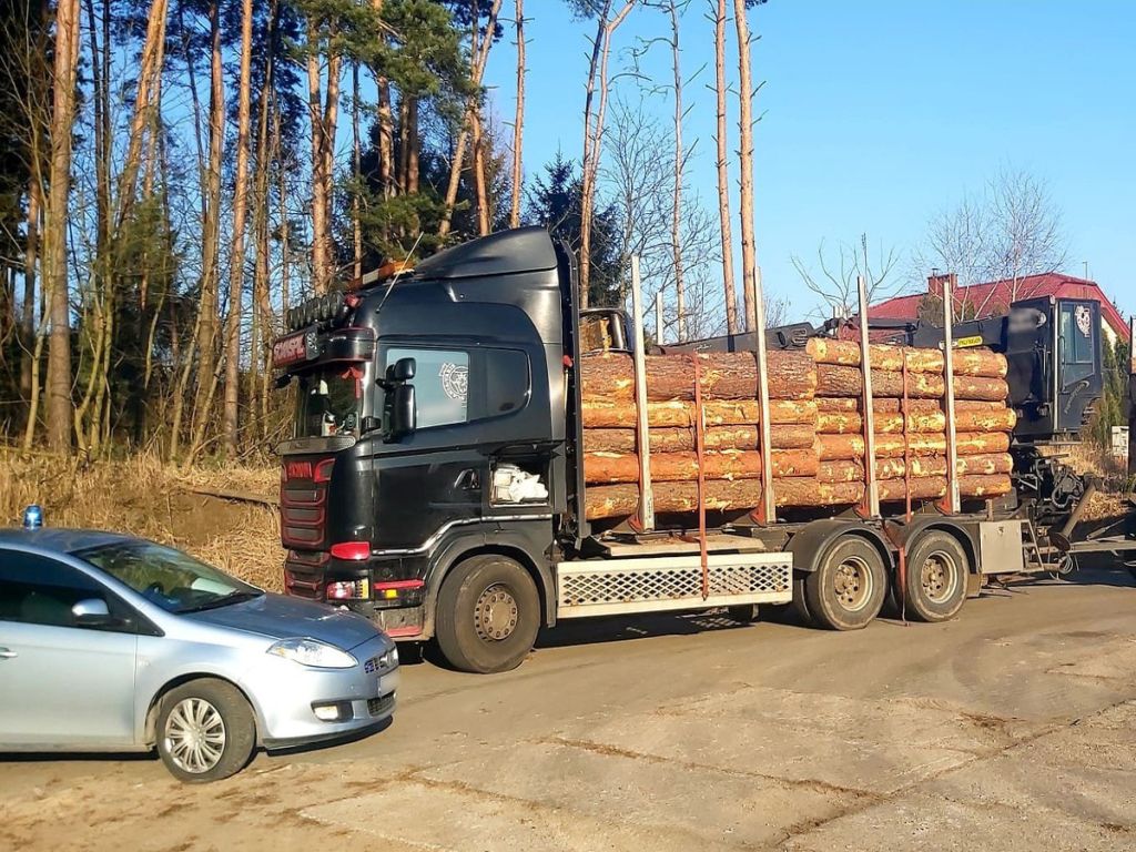 transport drewna, Dolna Grupa, powiat świecki, KPP Świecie