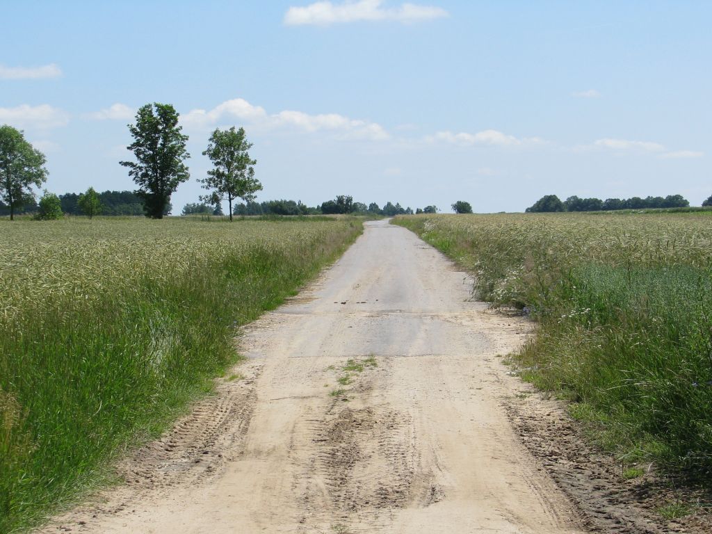 drogi dojazdowe do pól, wielkopolska, ewidencja gruntów, mała retencja
