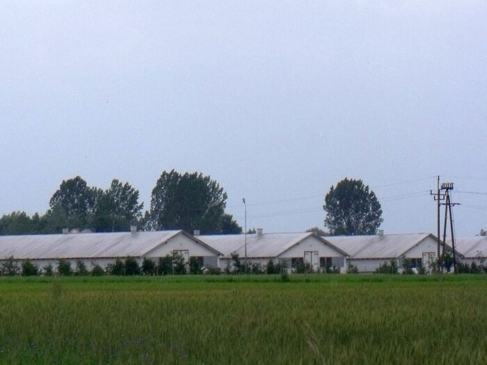 dostawy prądu do gospodarstw, produkcja żywności, hodowla zwierząt