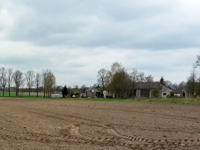 badanie koniunktury w rolnictwie, GUS, produkcja roślinna, produkcja zwierzęca, gospodarstwa rolne