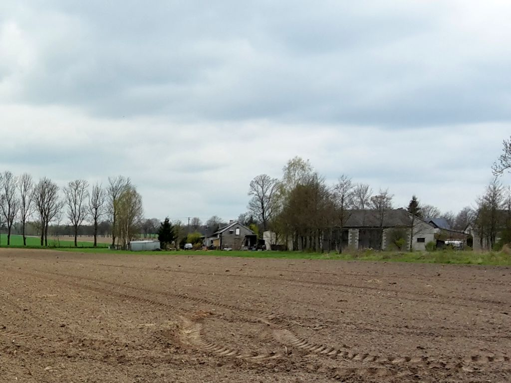 badanie koniunktury w rolnictwie, GUS, produkcja roślinna, produkcja zwierzęca, gospodarstwa rolne