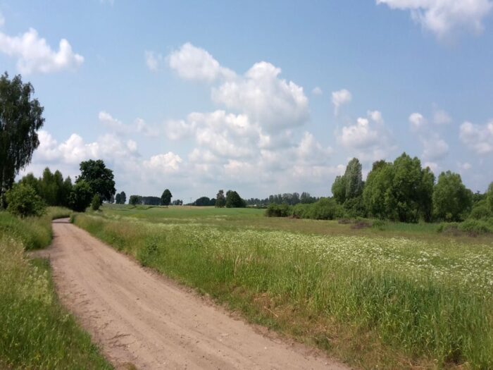 Lasy Państwowe, zalesianie, grunty rolne niskiej jakości, Edward Siarka