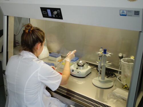 badanie żywności, raport NIk, IJHARS