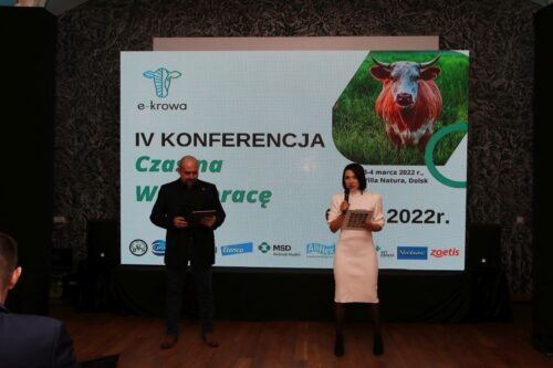 e-krowa, weterynaria, dobrostan krów, bydło mleczne, krowy mleczne, lekarz weterynarii, gospodarstwo, kulawizny
