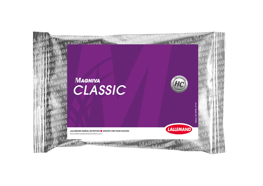 Lallemand, Magniva, Magniva Silver, Magniva Platinum, Magniva Classic+, kiszonki, zakiszanie, inokulanty biologiczne
