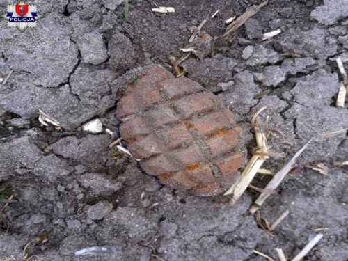 niewybuchy na polach, Dorota Krukowska-Bubiło, Szadek, powiat zduńskowolski