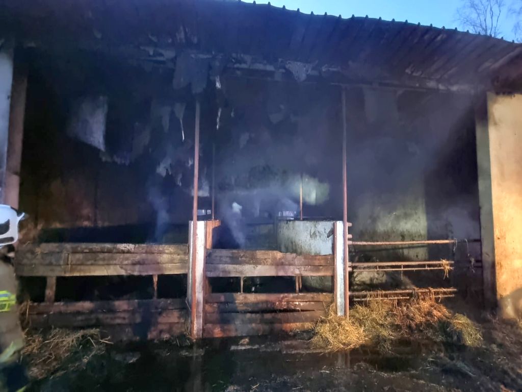 pożary w gospodarstwach, Wioska, Marcin Nowa, KP PSP Grodzisk Wielkopolski