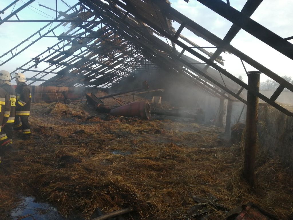 pożar kurnika, Bielice, gmina Biskupie, KP PSP Nowe Miasto Lubawskie