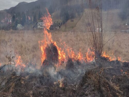wypalanie traw i nieużytków, kary dla rolników, ARiMR