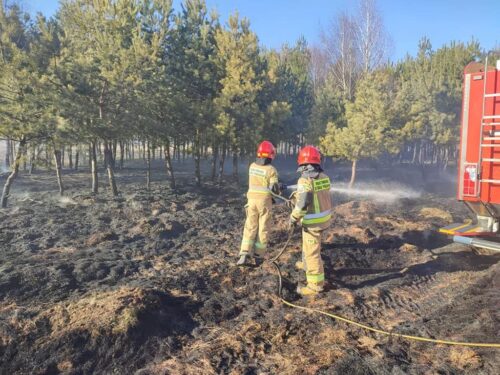 pożary traw i nieużytków rolnych, wypalanie traw, Marcin Bajur, Tomasz Piwowarski