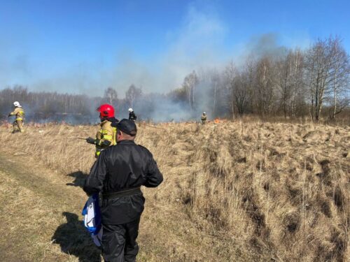 wypalanie traw i nieużytków, pozary traw, Małgorzata Pawłowska, Karol Kierzkowski