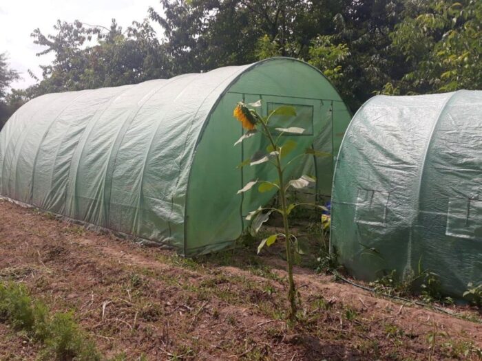 uprawa warzyw, warzywnictwo, Bronisław Węglewski, Izba Rolnicza Województwa Łódzkiego