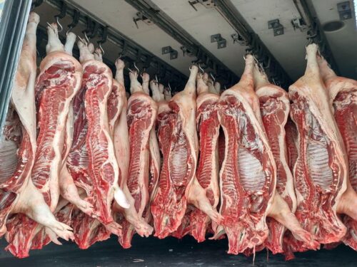 niezależne oceny mięsa, ubojnie zwierząt, ocena półtusz, krir, ministerstwo rolnictwa