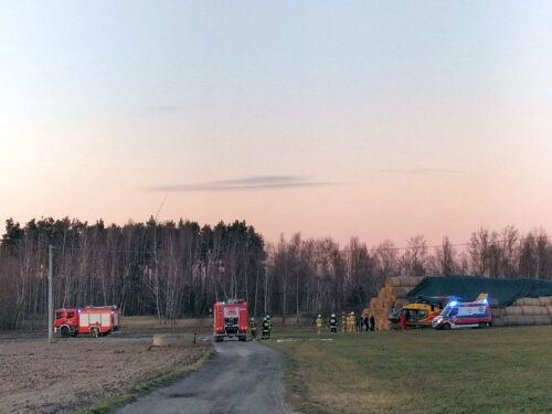 kobieta przygniecviona przez krowę, Marcin Krasucki, gmina Piotrków Kujawski