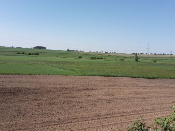 nawożenie, NIK, raport, gleba, uprawa, badanie gleby