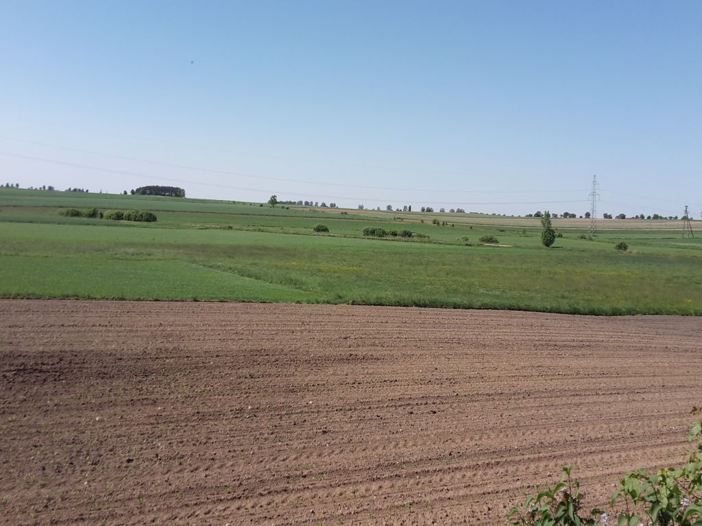 Dolnośląska Izba Rolnicza, przetargi na dzierżawę ziemi, KOWR, zwaracanie wadiów rolnikom