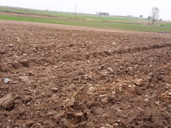 nawożenie, NIK, raport, gleba, uprawa, badanie gleby