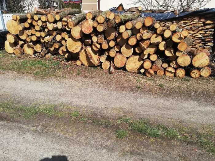 kradzież drewna, Lasy Państwowe, Nadleśnictwo Karczma Borowa